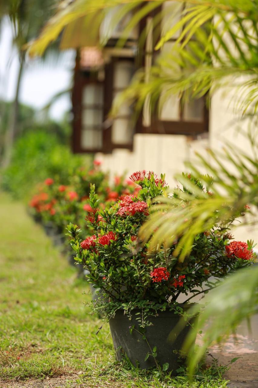 Rathgama Beach House Ngoại thất bức ảnh