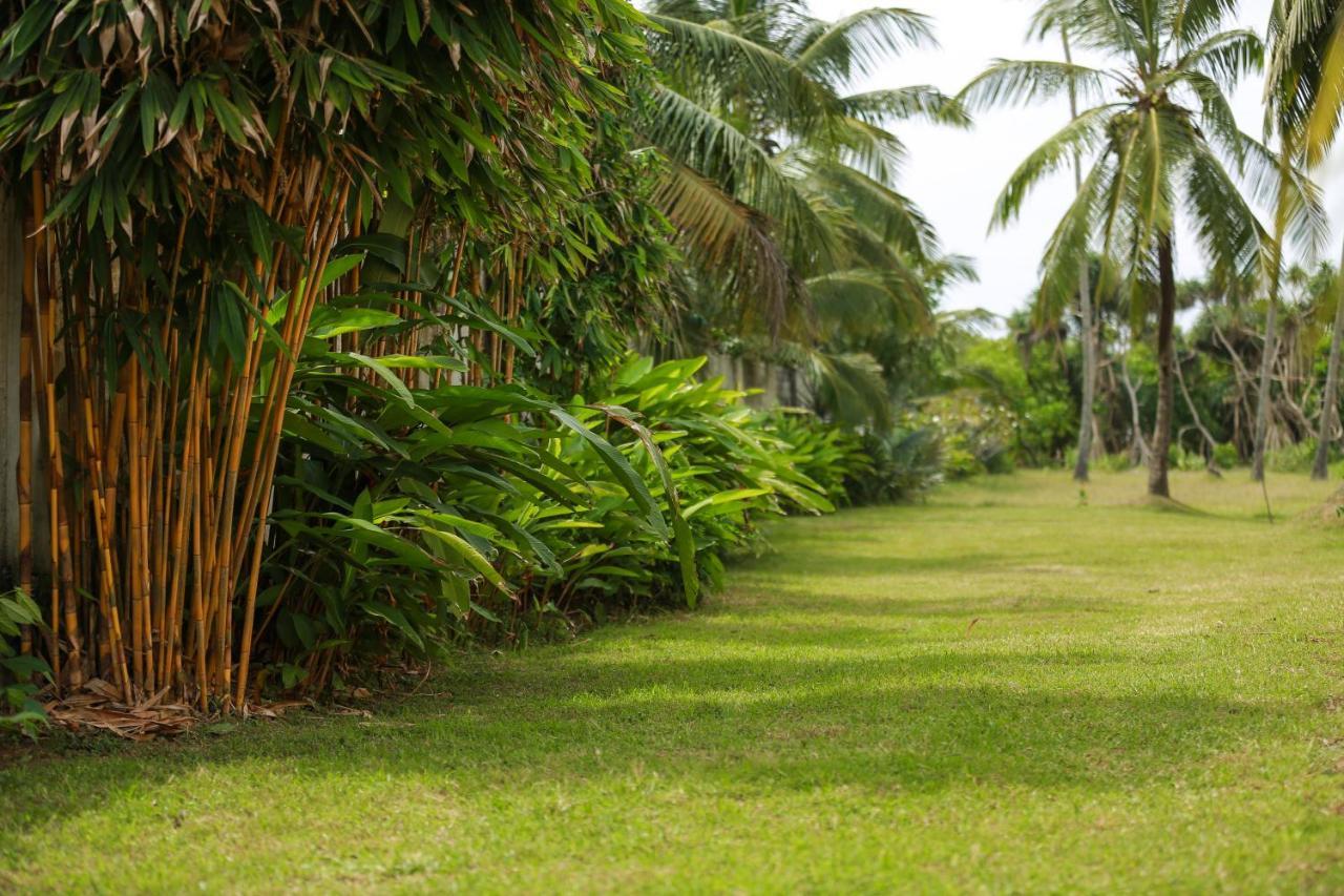 Rathgama Beach House Ngoại thất bức ảnh