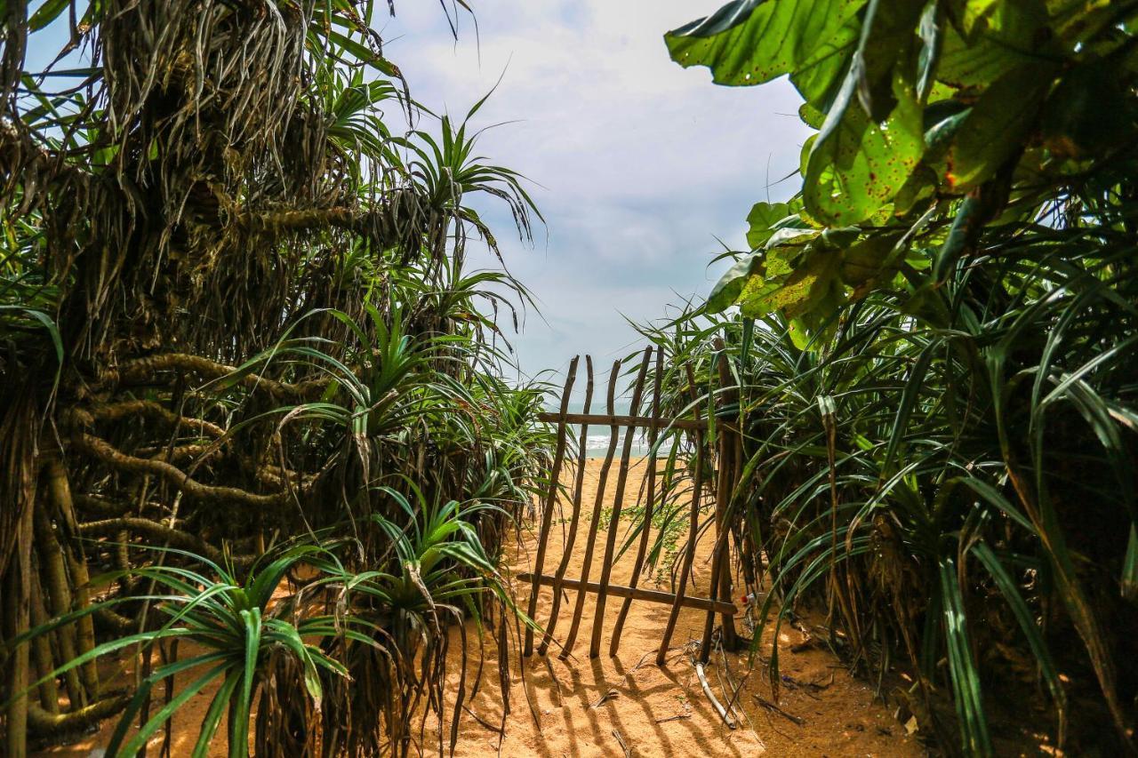 Rathgama Beach House Ngoại thất bức ảnh