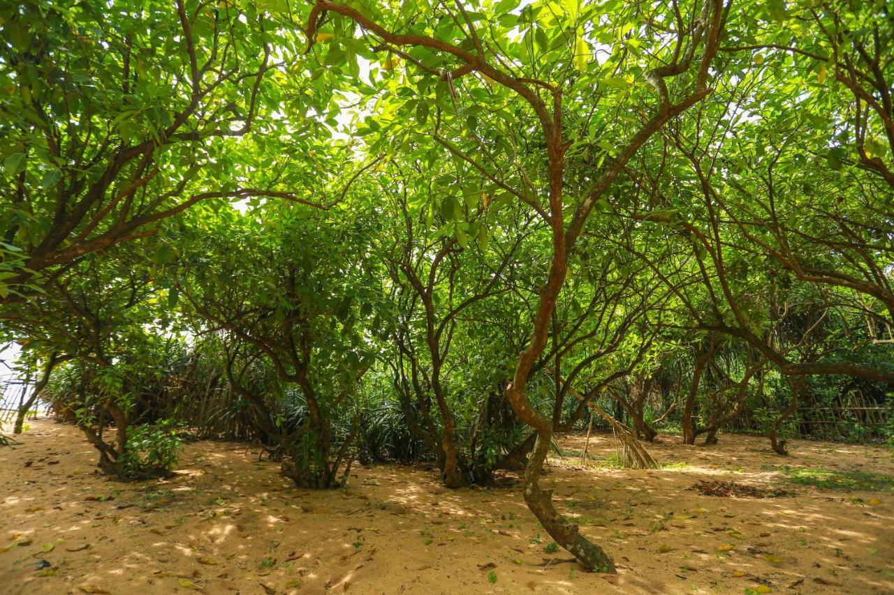 Rathgama Beach House Ngoại thất bức ảnh