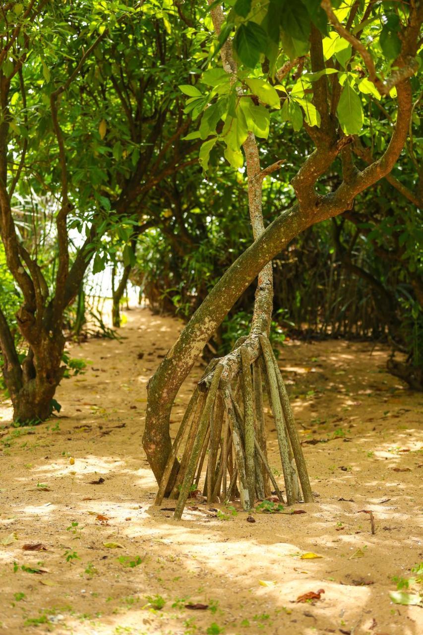 Rathgama Beach House Ngoại thất bức ảnh